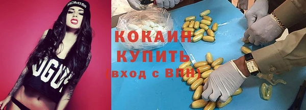 амф Краснослободск