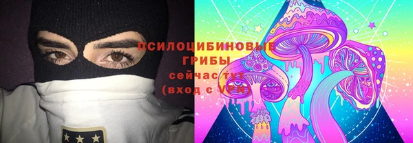 амф Краснослободск