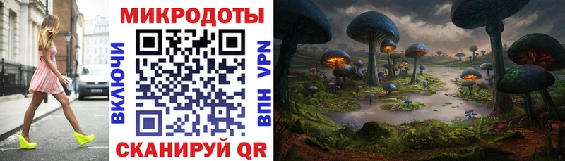 Псилоцибиновые грибы мухоморы  купить наркоту  Новая Усмань 